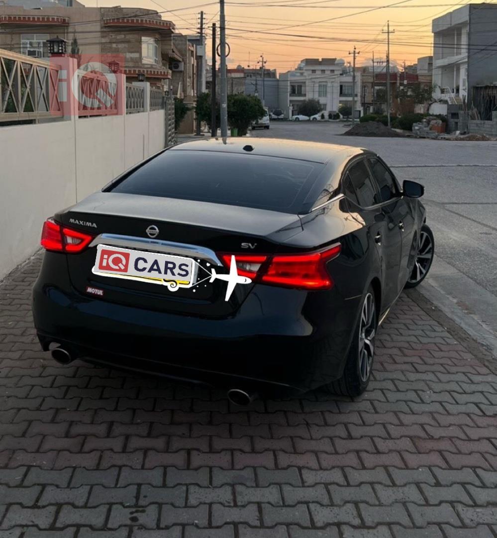 نيسان ماكسيما